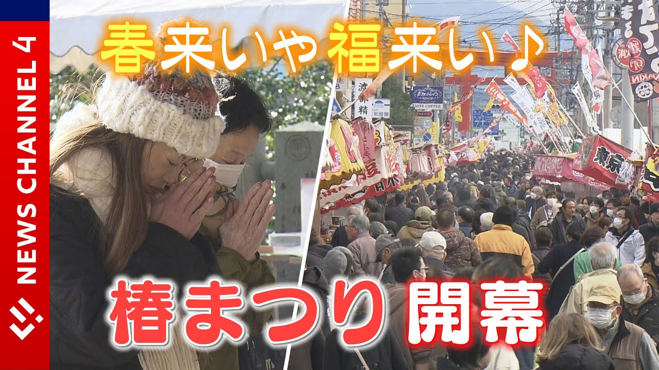 コロナ５類で完全復活！伊予路に春呼ぶ「椿まつり」あなたの願いは？＜NEWS CH.4＞