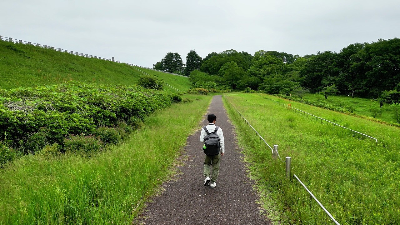 Totoro Forest,トトロの森 a peaceful place near Tokyo.｜Hiking | ハイキング |Japan Vlog