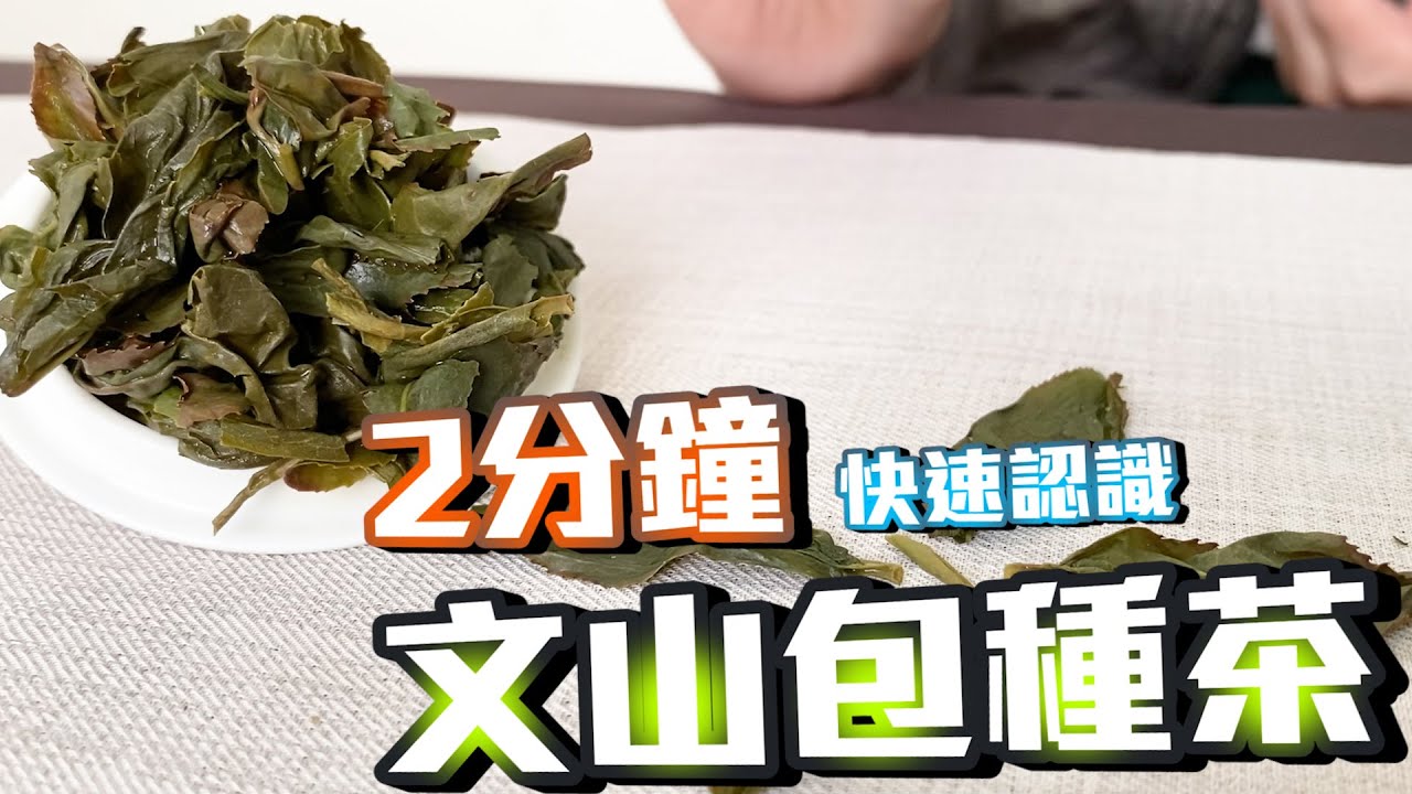 2分鐘帶妳認識文山包種茶 | 短篇認真系列 | 原片茶 VS 飲料茶 | CC字幕 | AAJ