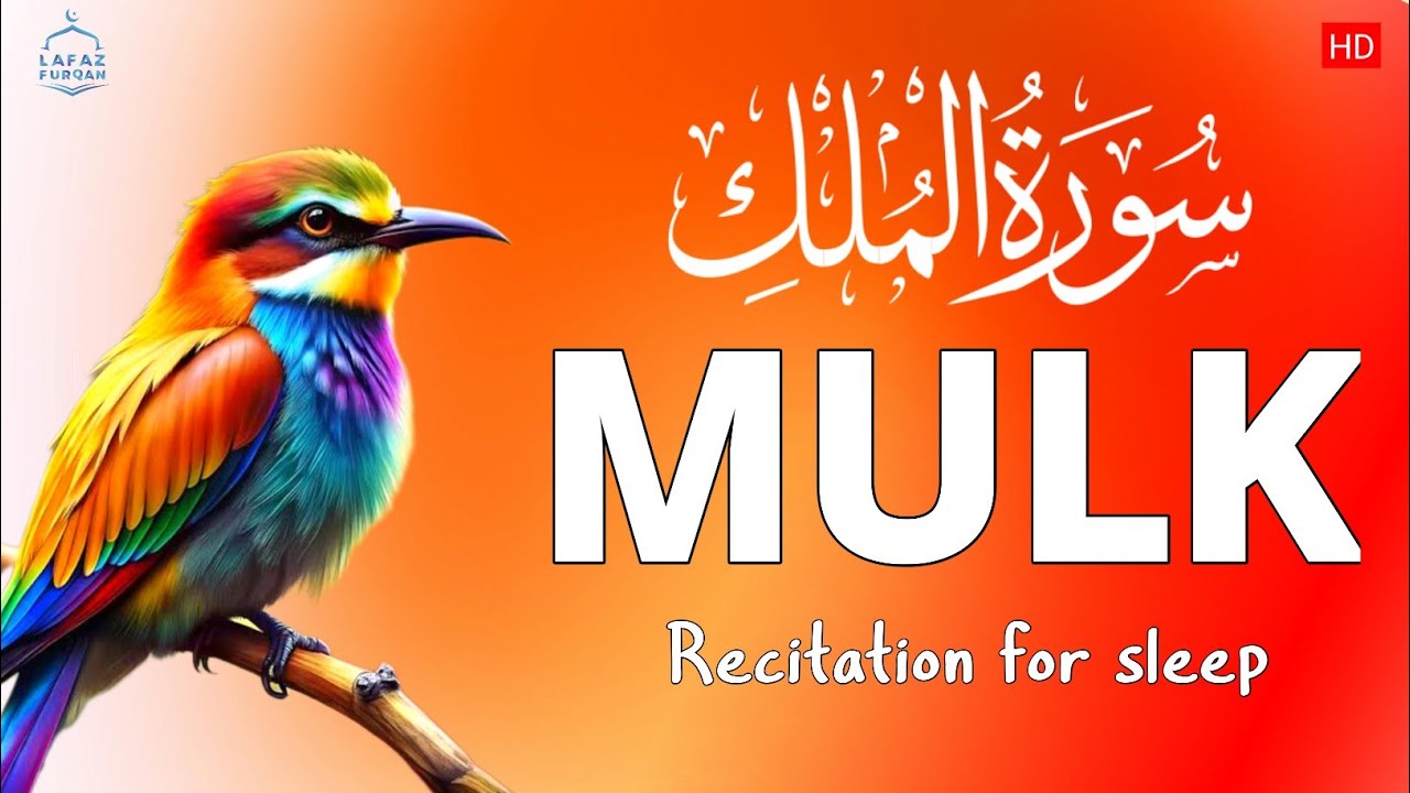 Surah Al Mulk ( سورة الملك) quran recitation | Mansoor Ghaznawi | Lafaz Furqan |