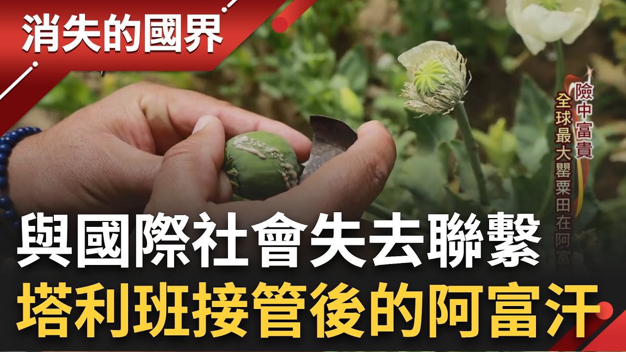 曾供應全球