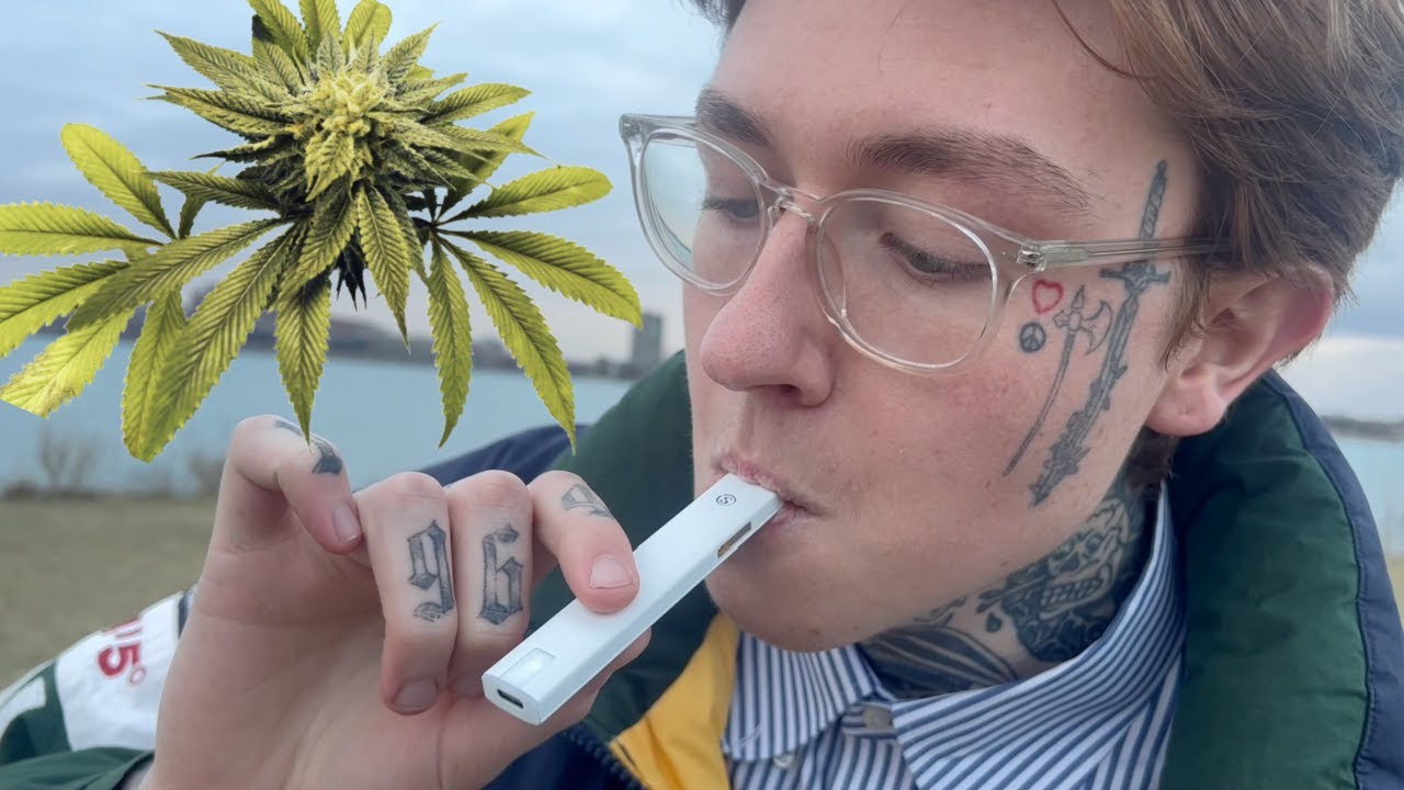 stoner road trip vlog (weed haul + blunt hotbox)