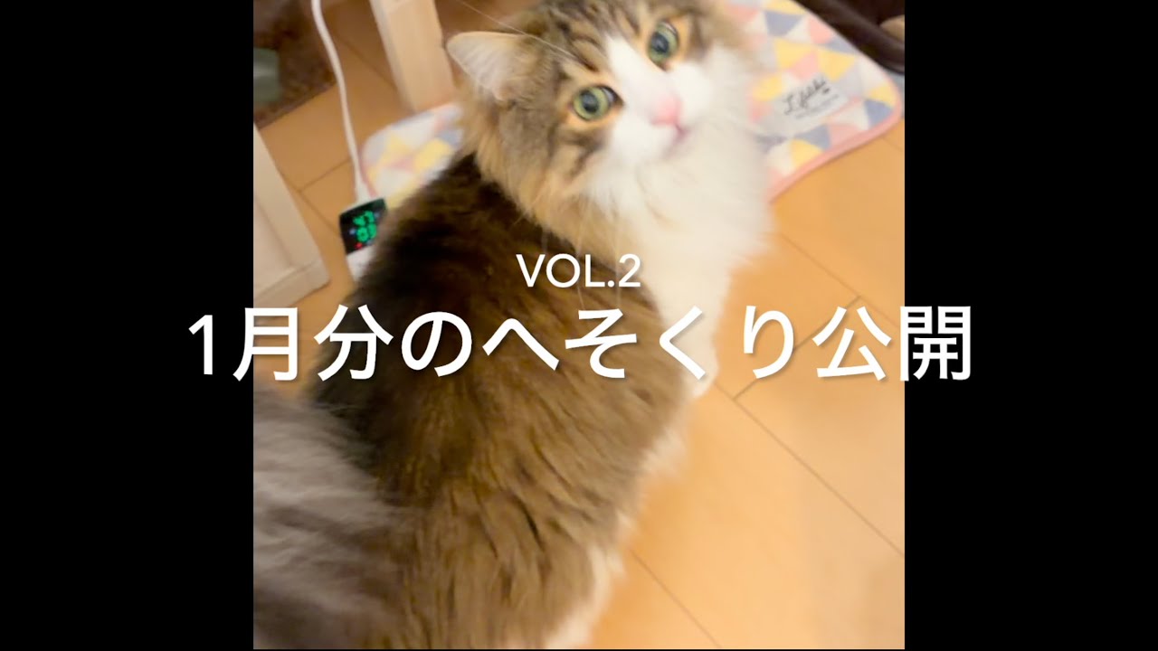 1月分のへそくり公開します