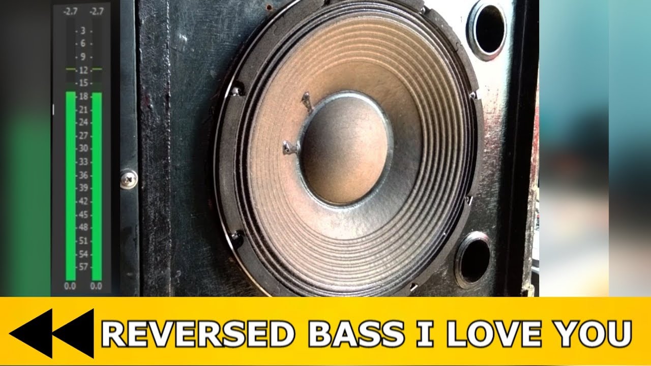 DOES PAPER CONE SUBWOOFER  Bass Sounds BETTER? Bass I LOVE YOU on REVERSED DEMO.