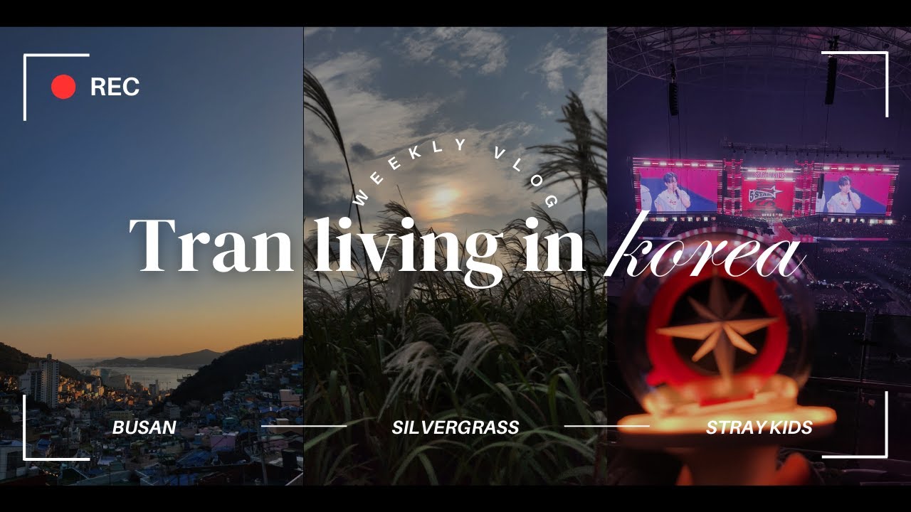 [🇰🇷] Busan, Seoul Silver Grass Festival & Stray Kids
