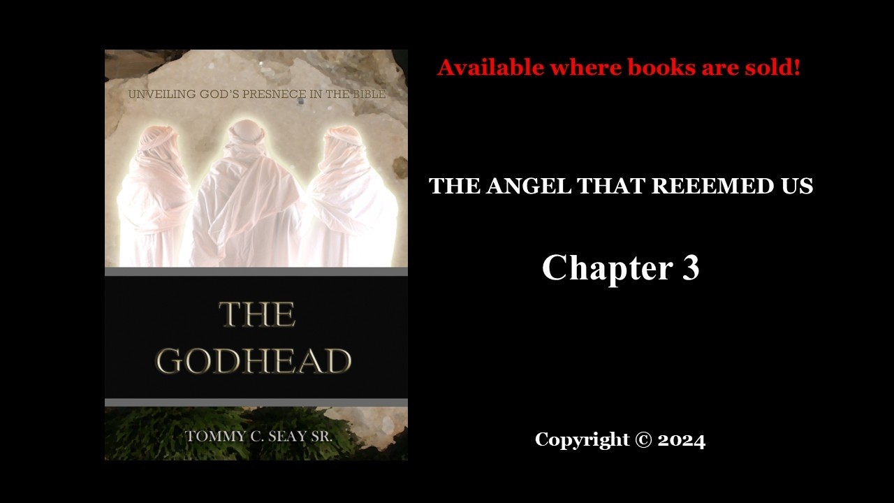 CHAPTER 3  - The Angel that Redeemed Us - Hagar did something that most Christians cannot do.