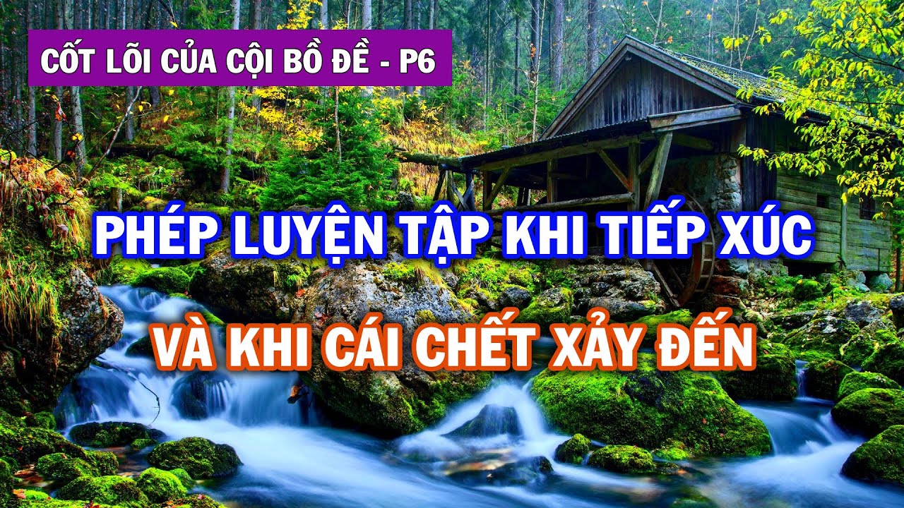 Luyện Tập khi tiếp xúc Giác Cảm và khi Cái Chết xảy đến | Cốt Lõi Cội Bồ Đề - Phần 6