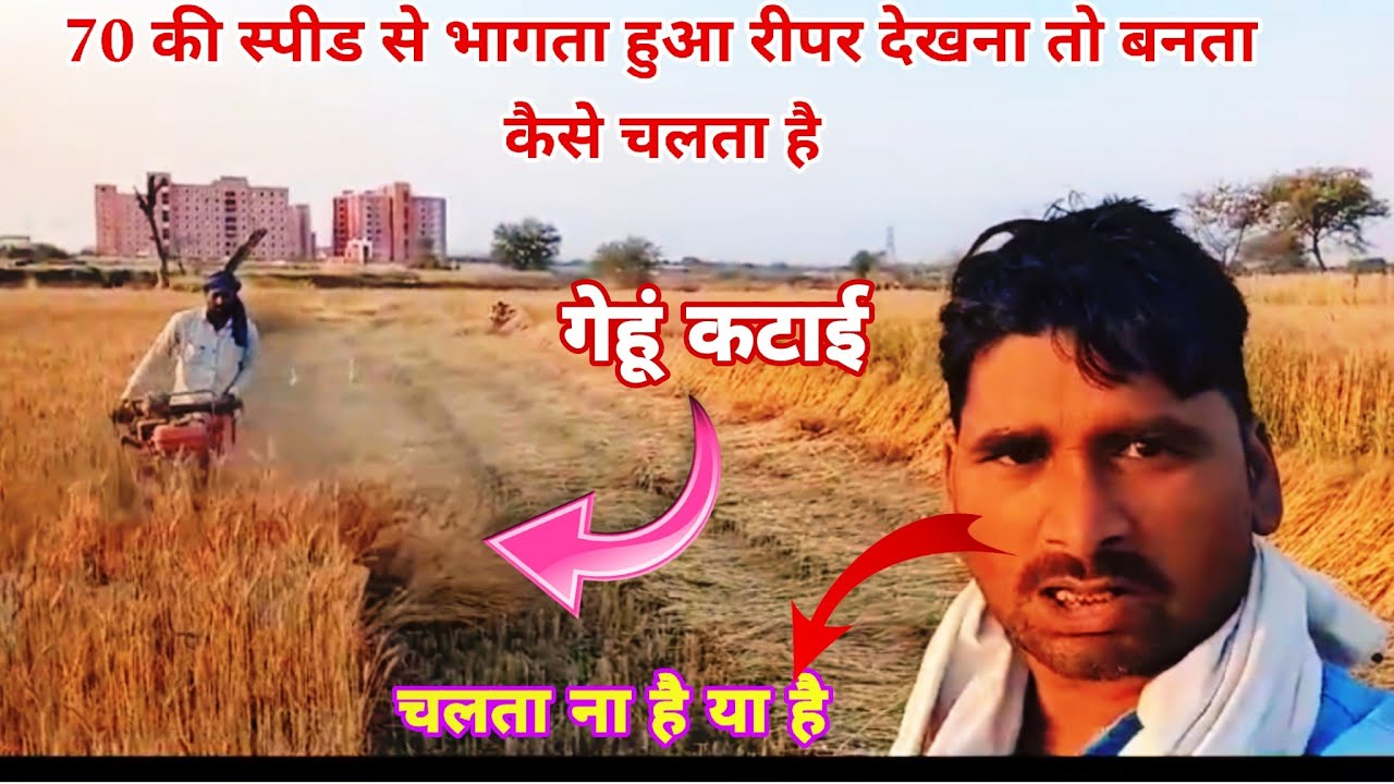 हरा चारा गेहूं चावल काटने वाला रीपर सभी फसल कटेगा 70 की स्पीड से भागता है 6 गियर30hajarme#viralvideo