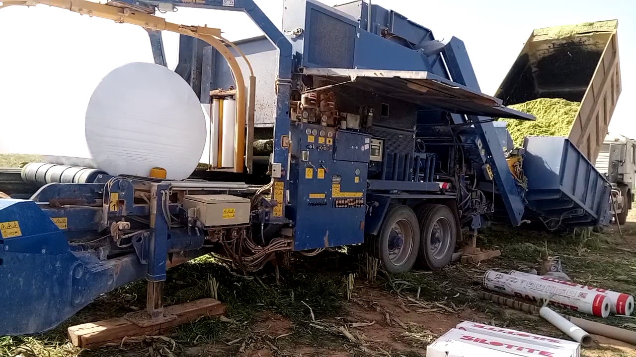 L'ENSILAGE A ADRAR