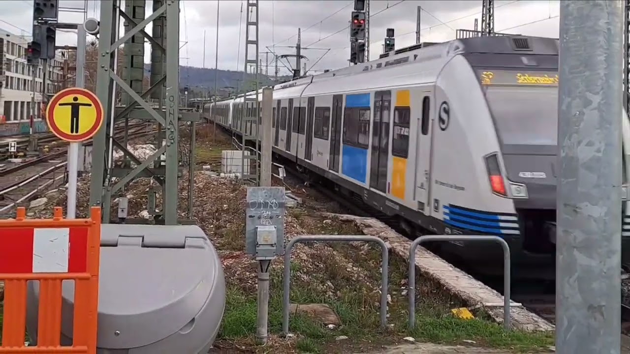 Züge der S-Bahn Stuttgart mit der BR430 Deutsche Bahn Trains in Stuttgart Germany🇩🇪