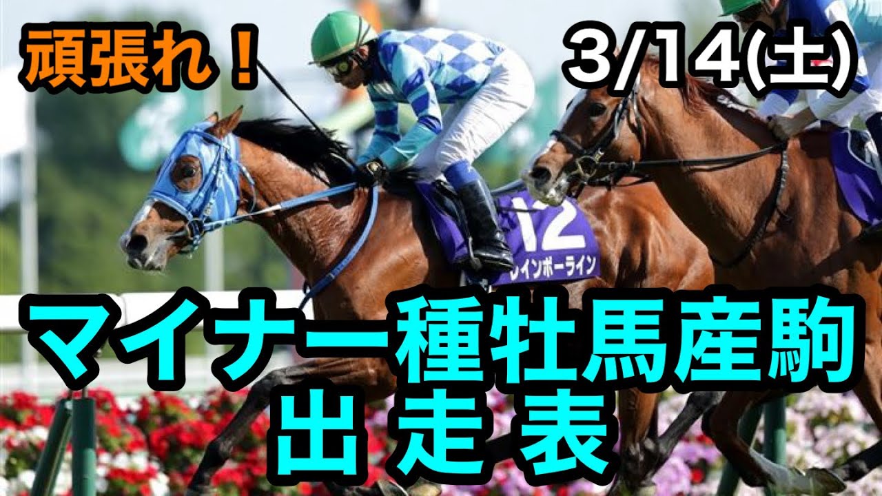 3/14(土)出走のマイナー種牡馬産駒を紹介！
