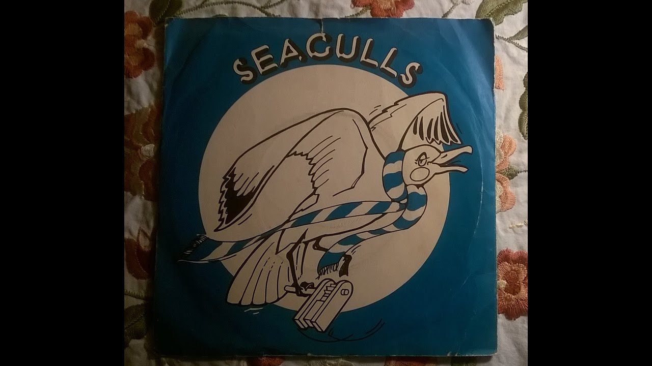 SEAGULLS - Ted Young 7