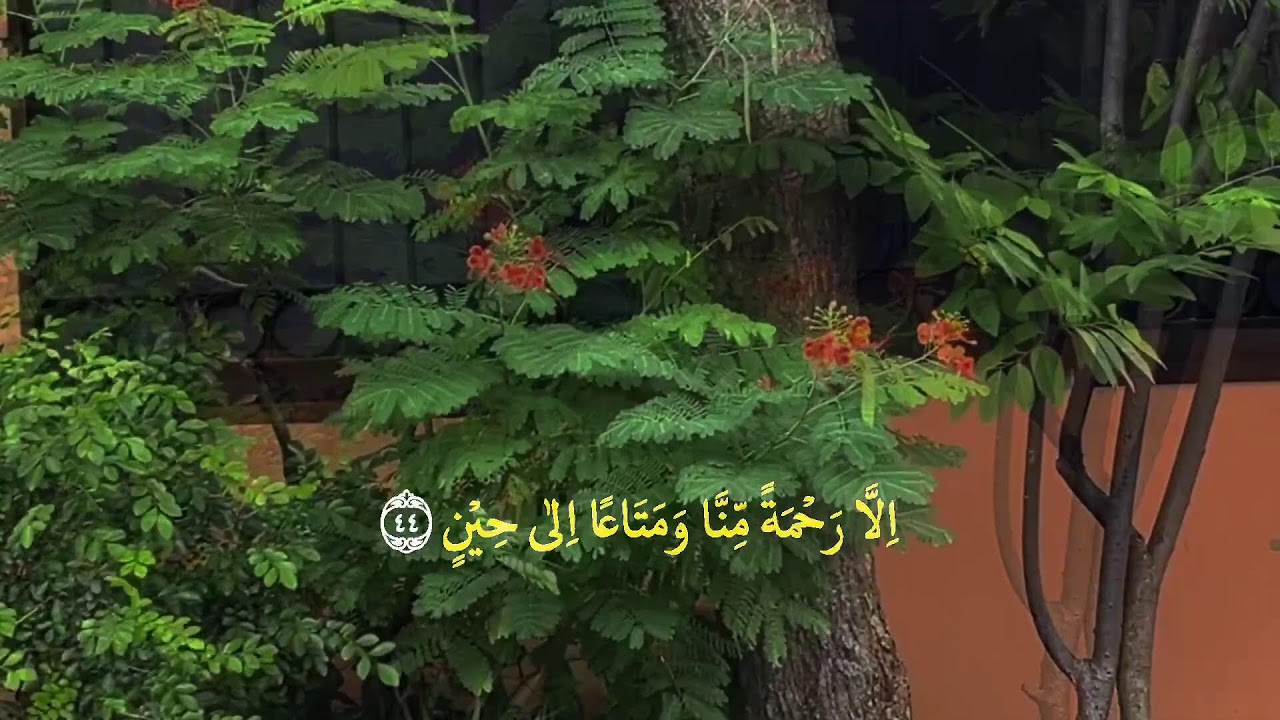 👉 Yosin surasi 83 oyat | Qalbga orom beruvchi ohangdor qiroat