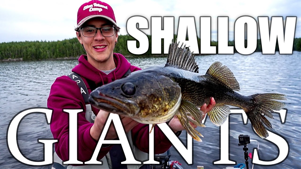 Finding Giant Spring Walleye in Shallow Water!
