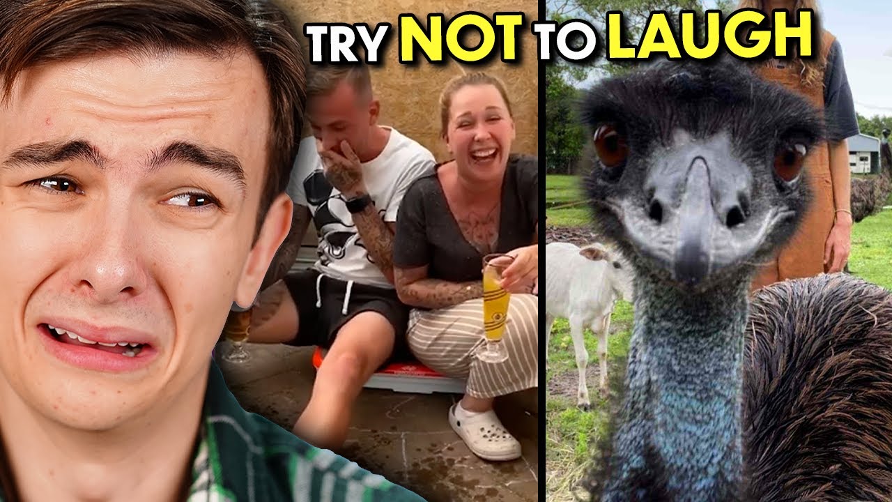 Gen Z vs. Elders Try Not To Laugh To The Funniest TikToks | React