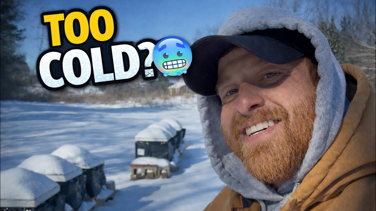 Snowed-In Beekeeping ❄️ What I’m Doing While the Hives Rest
