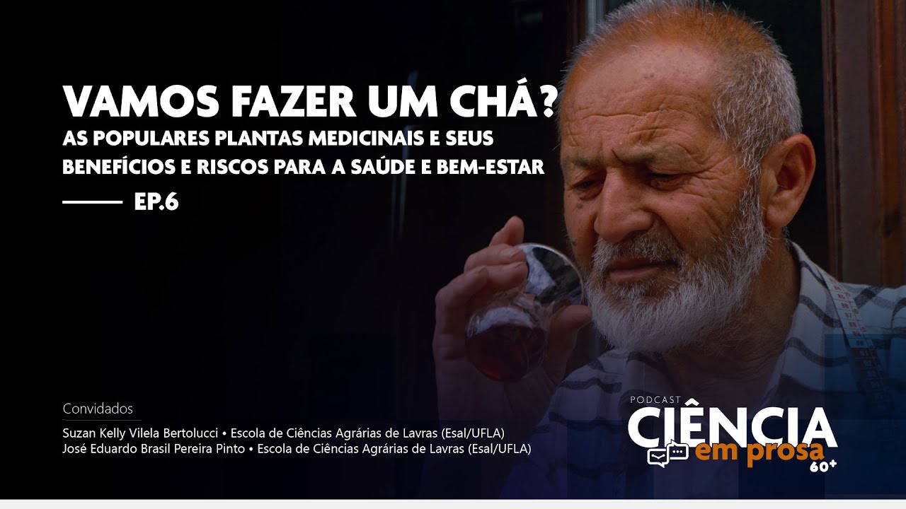 Vamos fazer um chá? As populares plantas medicinais e seus benefícios e riscos para a saúde