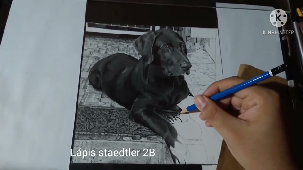 DESENHO REALISTA DE ANIMAIS (t&eacute;cnica l&aacute;pis grafite sobre papel Lana Bristol)