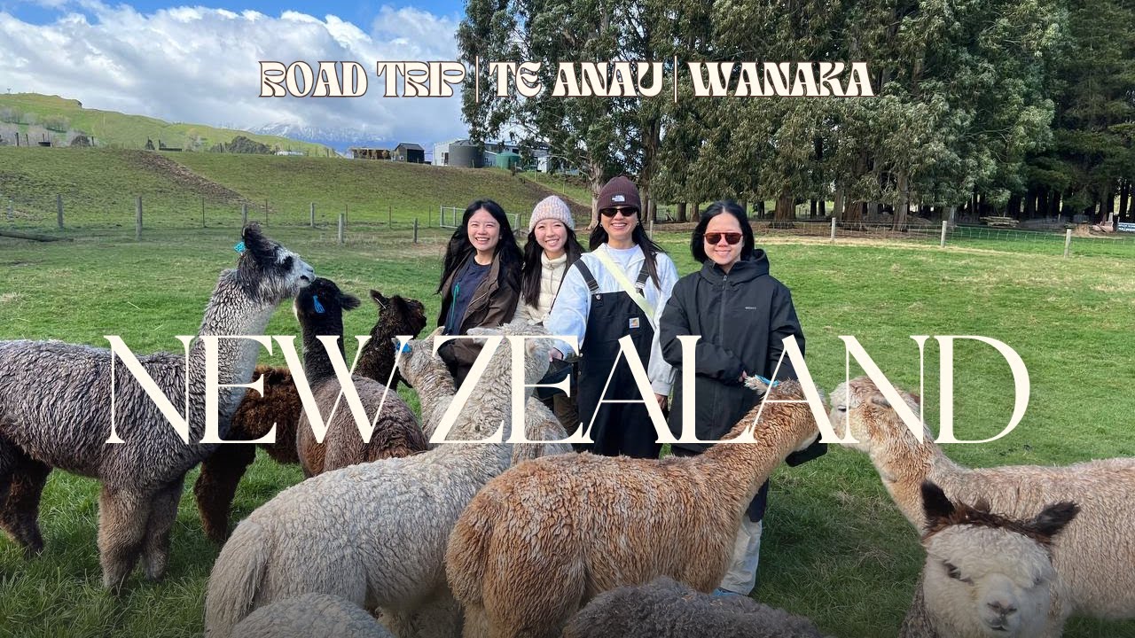 New Zealand vlog ep 2 | road trip, te anau, cancelled tours, alpacas, wanaka