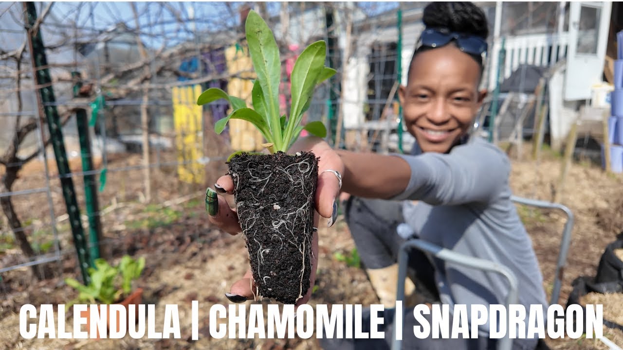 Spring Me Please (14) | Planting Frost Tolerant Flowers & Herbs Outside | Chatty Planting Day