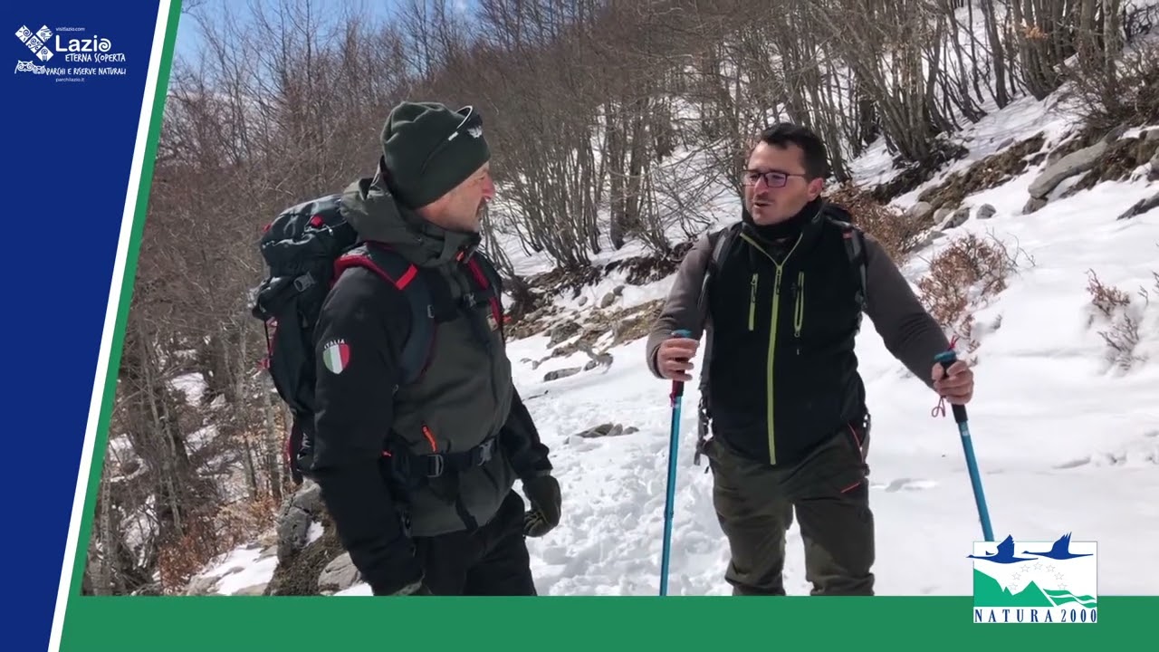 Monte Meta, il camoscio più bello del mondo!