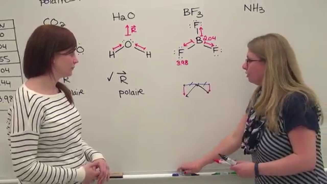 Polarité des molécules