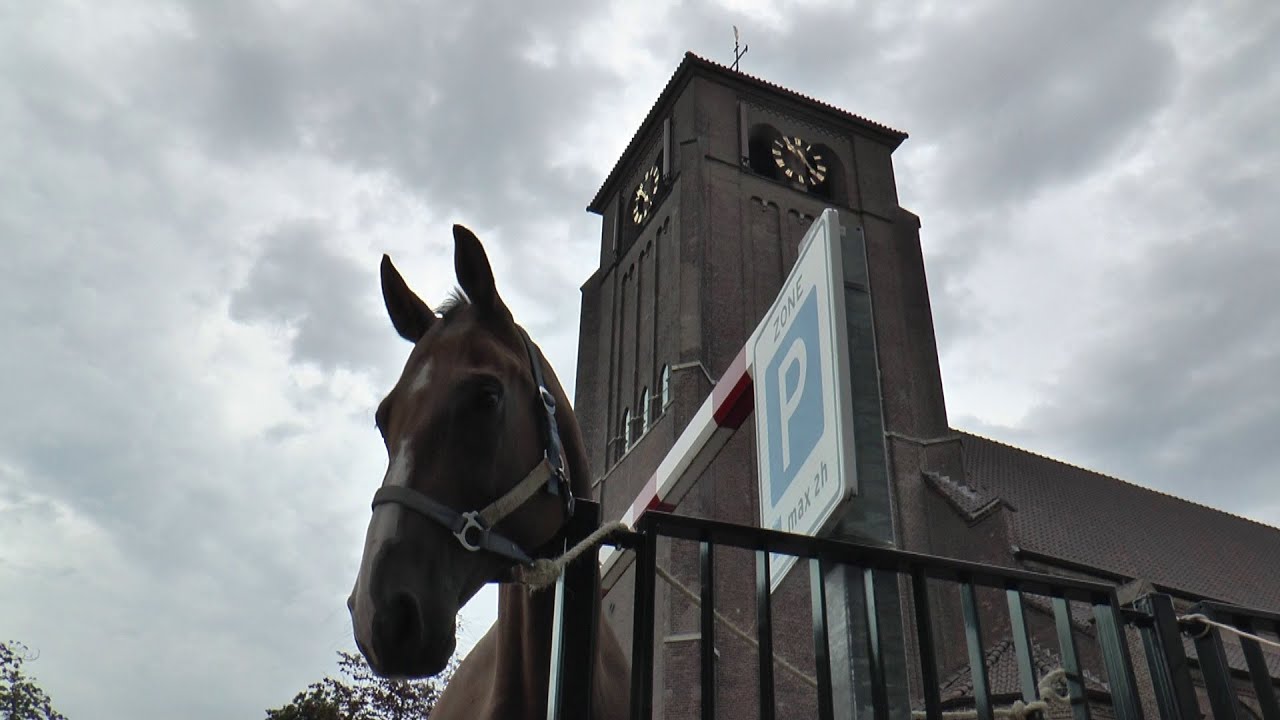 Bemmel Ponymarkt 2015