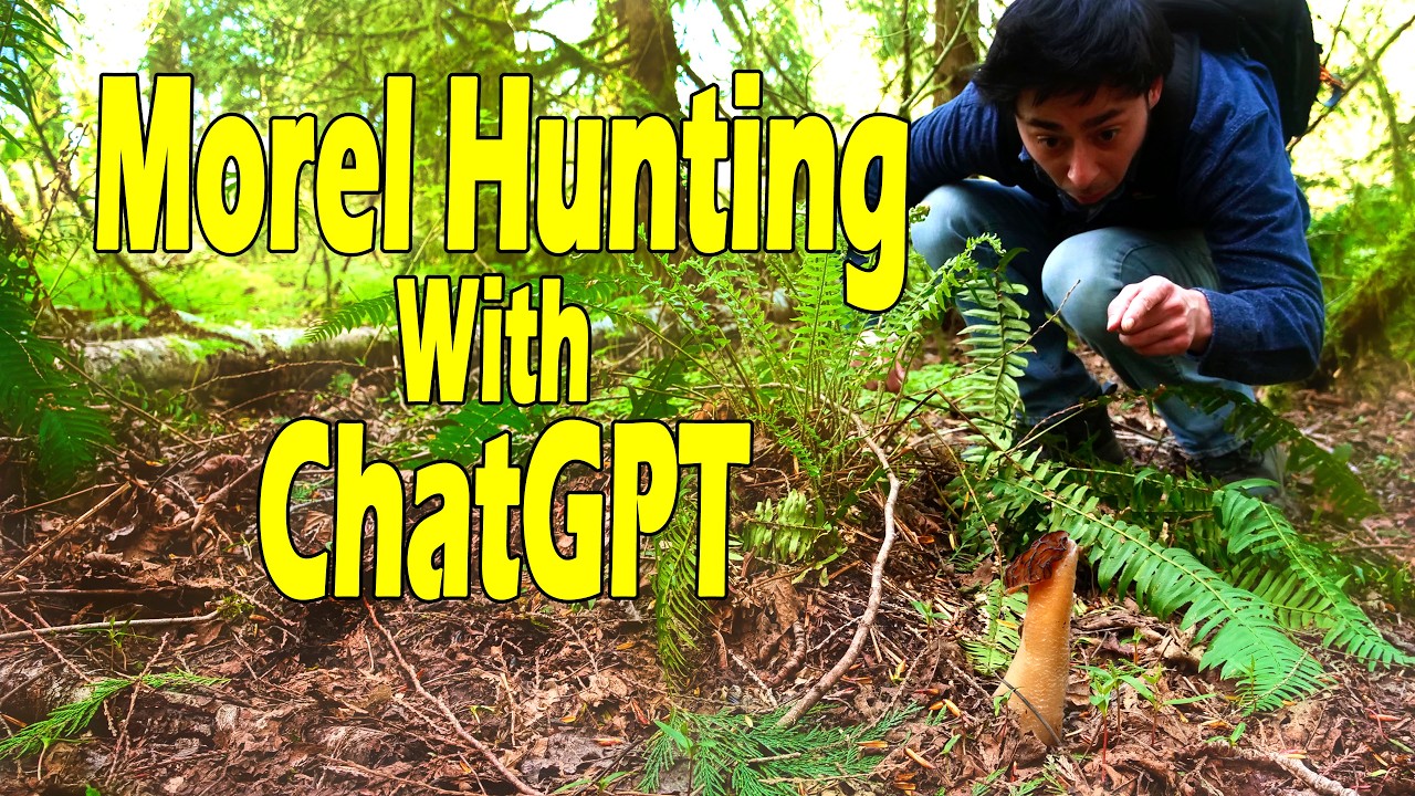 Exploring Washington for Morels | Can ChatGPT Help Identify Wild Mushrooms?
