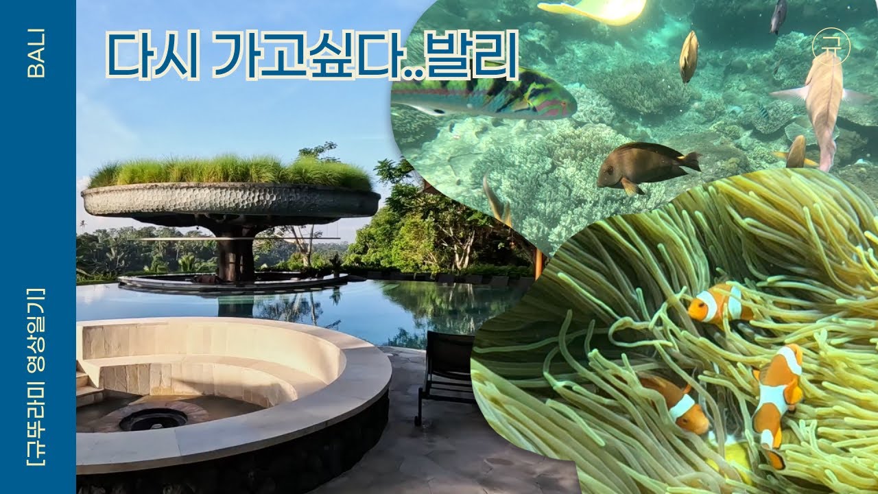 🇮🇩 발리 여행 | 우붓 파드마 리조트, 탄중제푼 블루라군 스노클링, 깜짝생일파티🥳 | 영상일기 | 규뚜라미