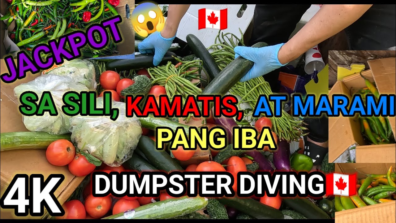 DUMPSTER DIVING🇨🇦 MEGA JACKPOT SA MGA GULAY NASA IBABAW LANG GRABEEE😱#dumpster#trending #viralvideo