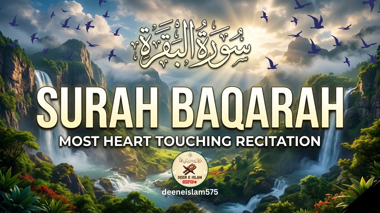Surah Baqarah Full (سورة البقرة) | Beautiful Quran Recitation | Heart Touching Tilawat