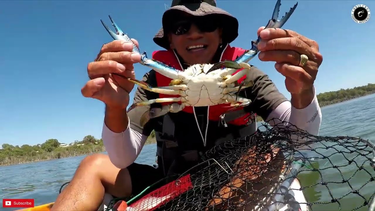 Catch and Cook Blue Swimmer Crabs