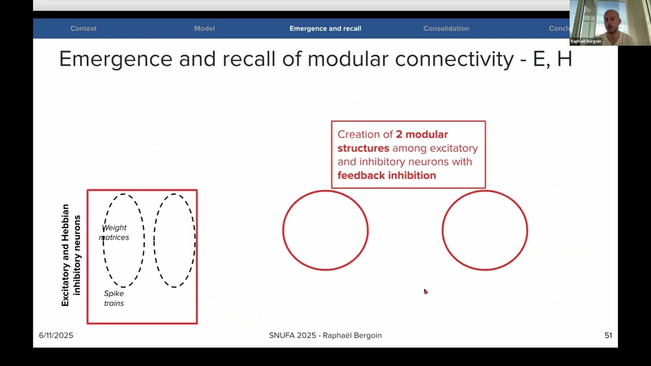 Rapha&euml;l Bergoin - Emergence and maintenance of modularity in neural networks with inhibitory STDP