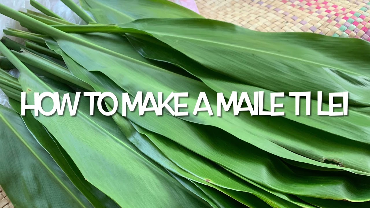 How to make a maile ti leaf lei