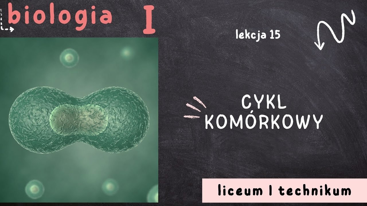 Biologia 1 LO [Lekcja 15 - Cykl kom&oacute;rkowy]