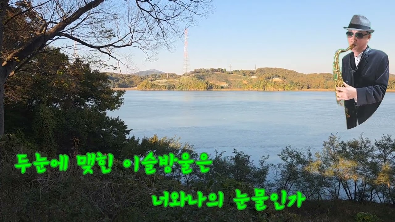 연정(배금성)
