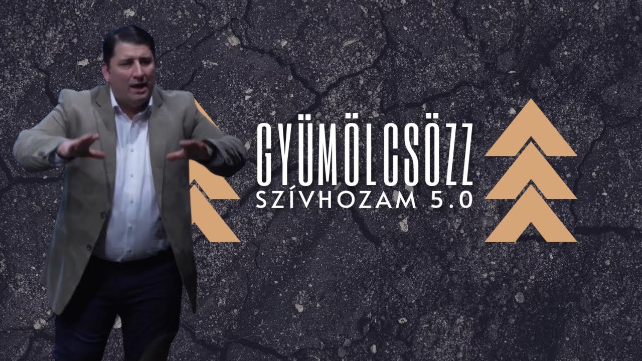 Gyümölcsözz - Novák Zsolt