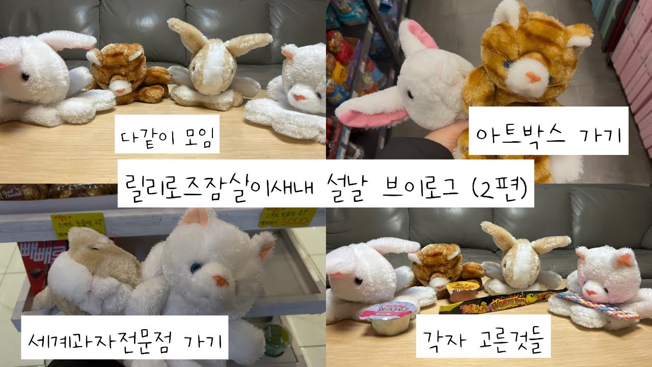 설날 브이로그 릴리로즈&잠실새내네 인형계 브이로그 #인형놀이 #소꿉놀이 #인형계 #설날 #릴리 #로즈 #잠실 #새내 #토끼 #고양이 #토끼인형 #고양이인형 #추천 #cute