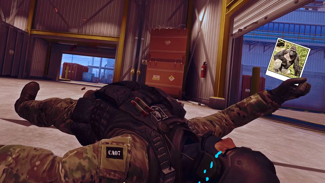 Joel, What Are You Yelling At? [CS:GO Funny Moments]