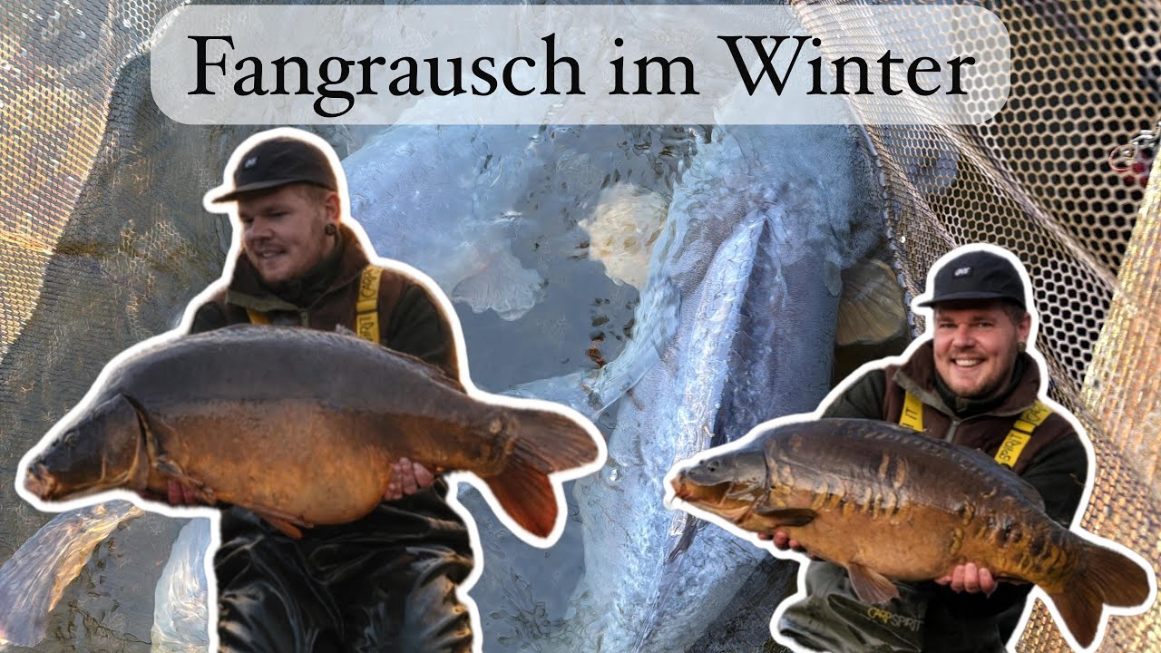 Fangruasch im Winter // Karpfenangeln // Vlog 6