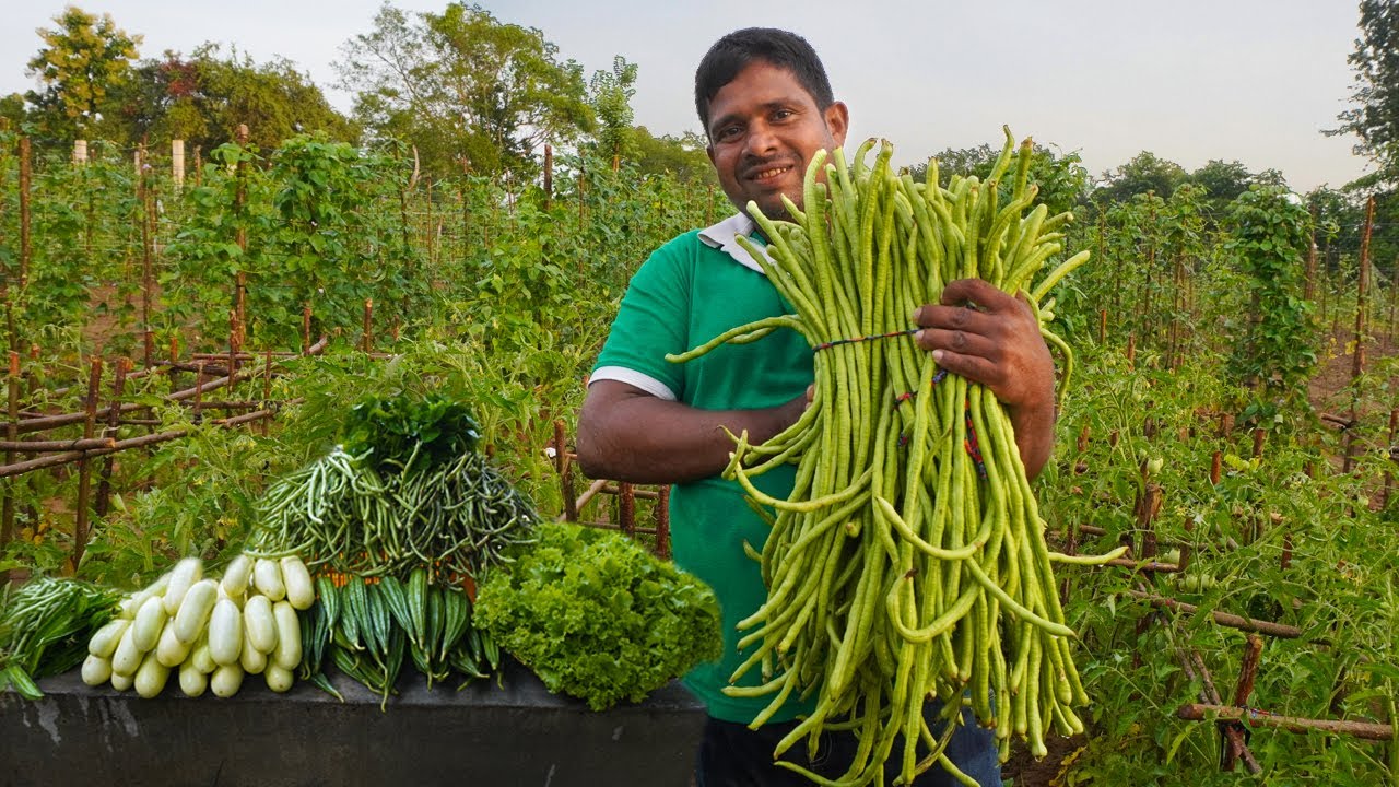See the amazing way vegetable plants grow organically in this Wilgamuwa Mahiyanganaya in Sri Lanka
