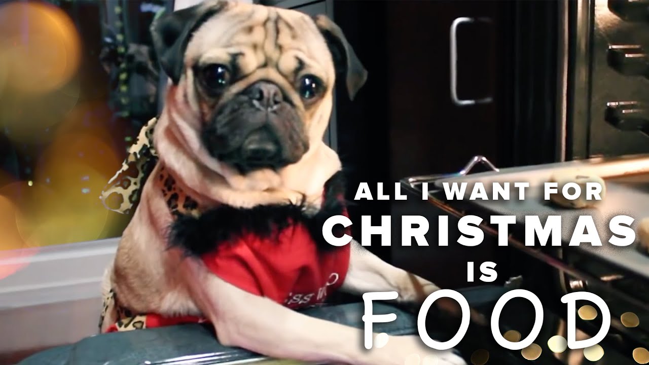 All I Want For Christmas Is Food - Doug The Pug