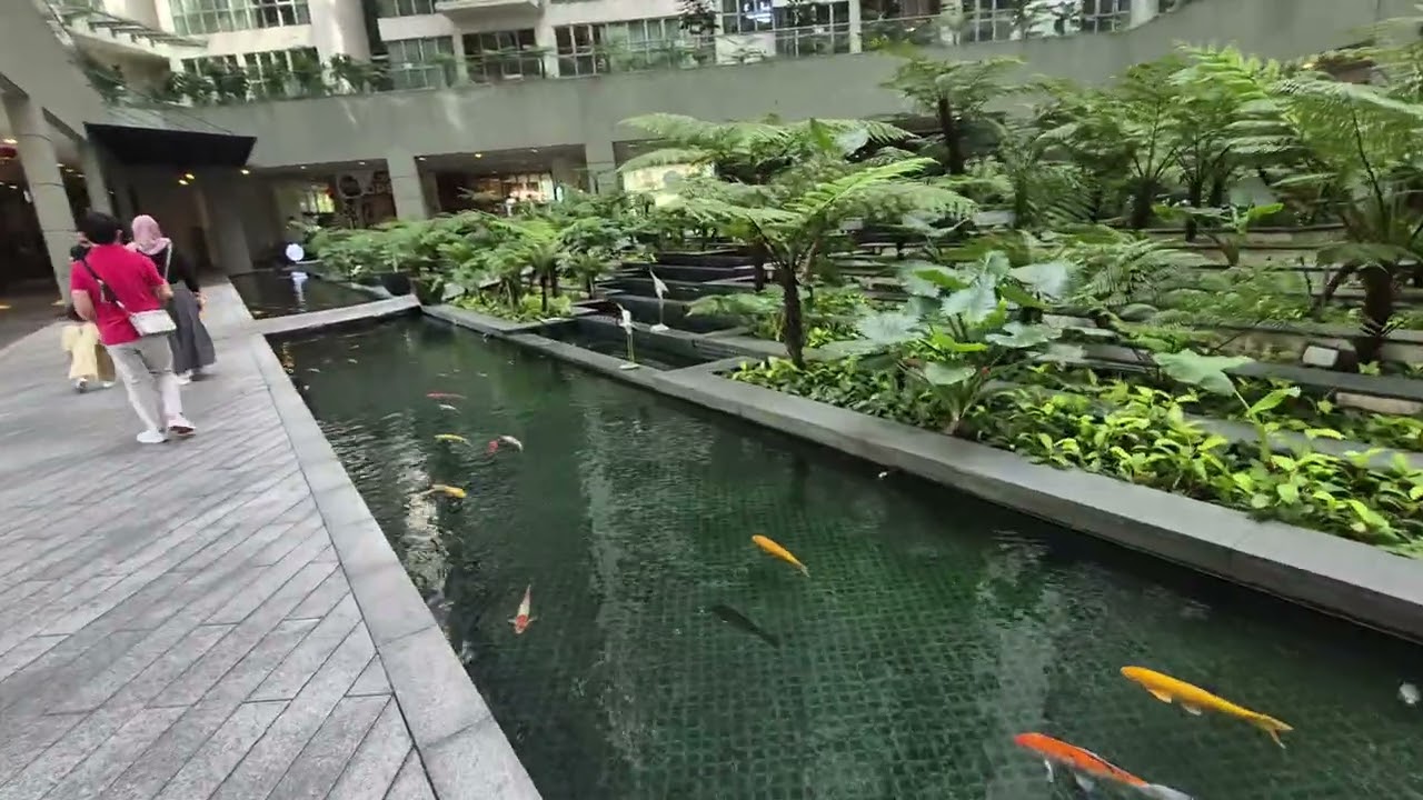 Dobre rano z KL, hotel Regalia SkyPool-2, Malaysia
