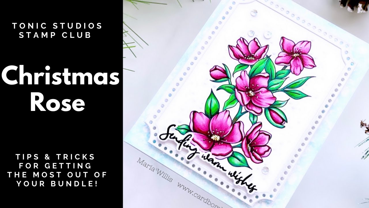 Hot Tips & Tricks for using the Christmas Rose Bundle from Tonic Studios!