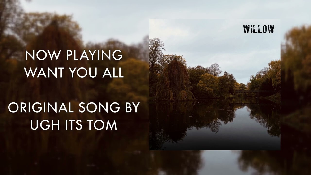 Want You All - UGH It's Tom (Official Audio)