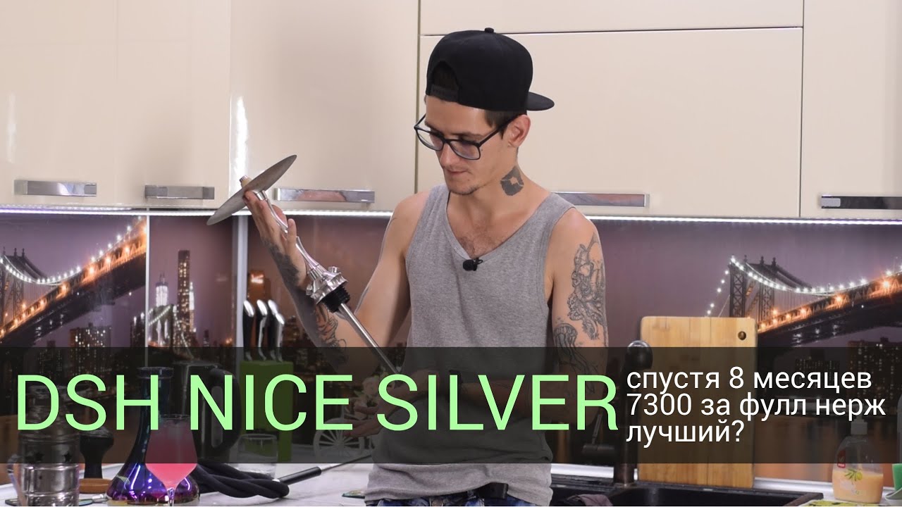 DSH Nice Silver - спустя 8 месяцев использования!