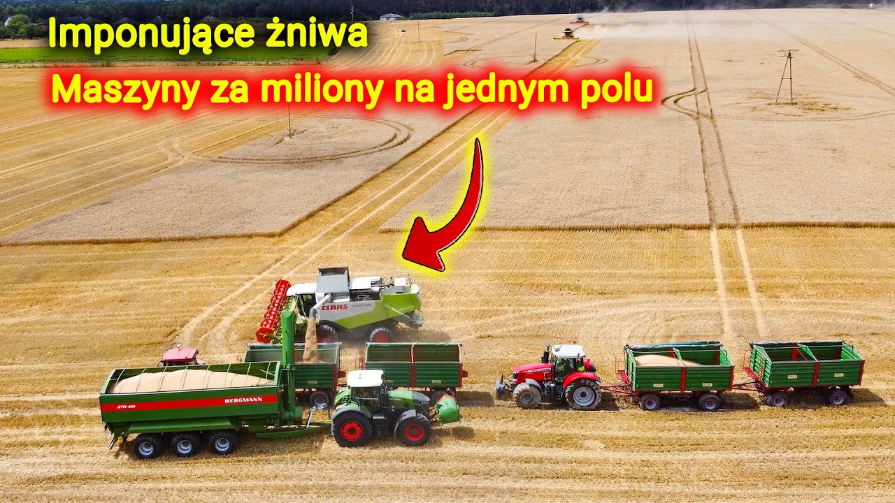 1 olbrzymi Bergman GTW 430 odbiera pszenicę 👉od 4 kombajn&oacute;w! 👉Żniwa na bogato [Korbanek]