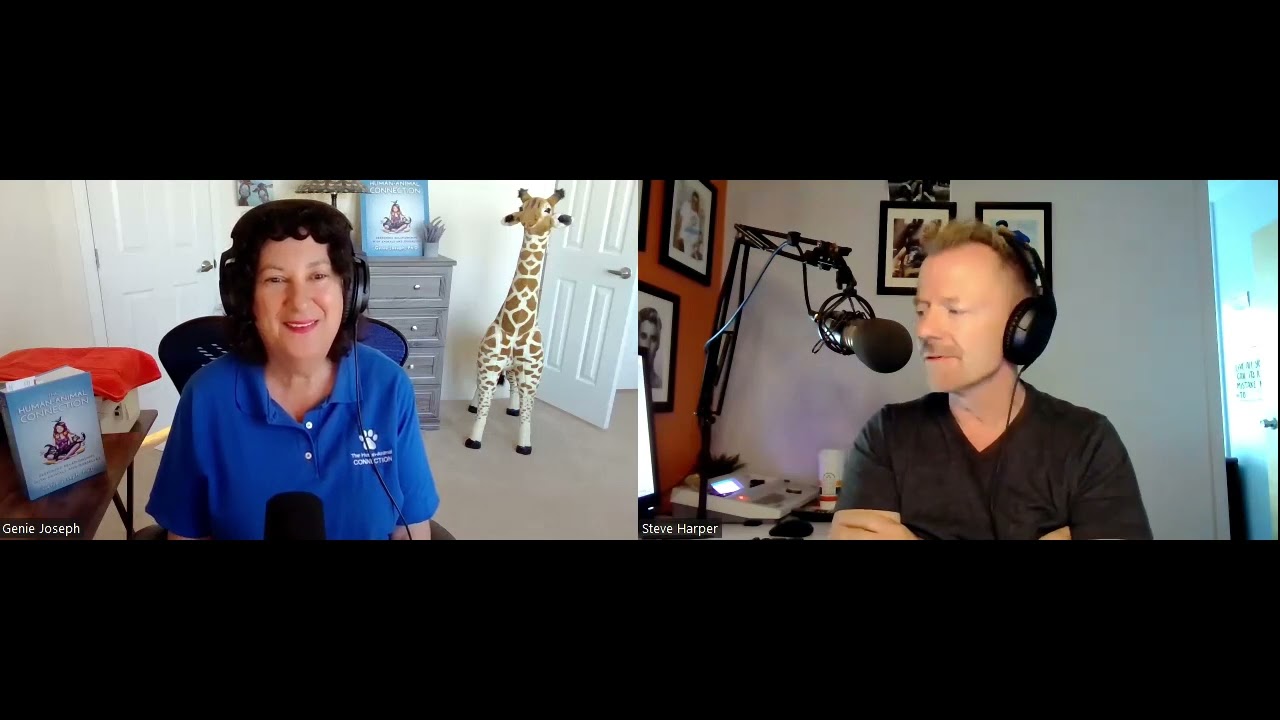 PBN Interview - Genie Introduces The Human-Animal Connection