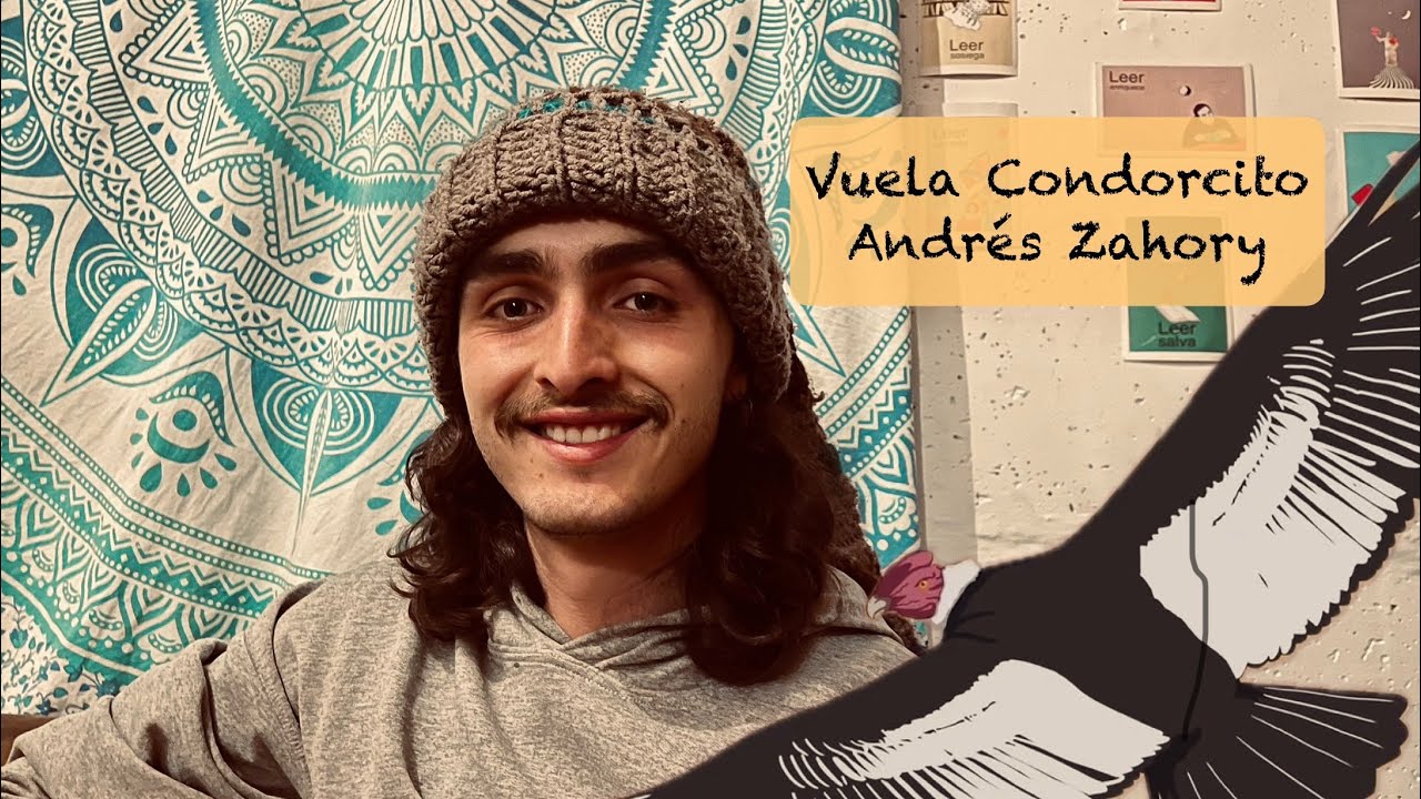 Vuela Condorcito | Andrés Zahory | Música Medicina