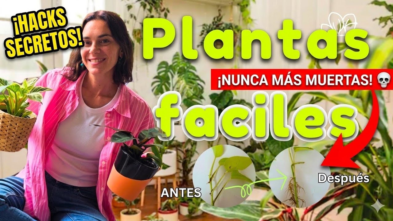 Si matás hasta un cactus, mirá este video 🪴 (Guía Real para Principiantes) 